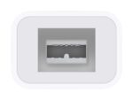 Apple Thunderbolt to FireWire Adapter - Image 2
