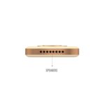 Saregama Carvaan Go Gold-(Champagne Gold) - Image 3