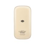 Saregama Carvaan Go Gold-(Champagne Gold) - Image 2