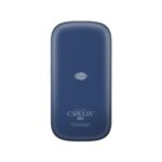 Saregama Carvaan Go 2.0- (Blooming Blue) - Image 2