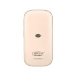 Saregama Carvaan Go Gold -(Rose Gold) - Image 2
