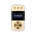 Saregama Carvaan Go Gold-(Champagne Gold)