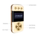 Saregama Carvaan Go Gold-(Champagne Gold) - Image 5