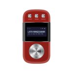 Saregama Carvaan Go 2.0- (Salsa Red)