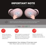 boAt Airdopes 171 Bluetooth Truly Wireless Earbuds with Mic(Rose Gold) - Image 7