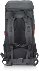 Fastrack Rucksack Rucksack - 45 L  (Black) - Image 2