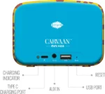 Carvaan Saregama Mini Kids Chhota Bheem Special Edition (Blue) - Image 2