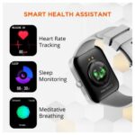 Fire-Boltt Starcross Smart Watch with Bluetooth Calling (Grey) - Image 4