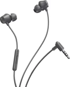 Dizo by realme TechLife DA2106 Wired Earphone (Grey) - Image 2